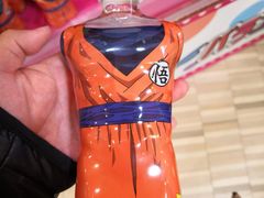 -Animate(秋叶原本馆)