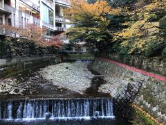 -月光园游月山庄