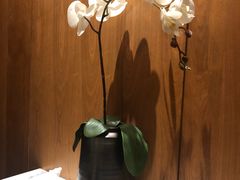 -月下料理(楷林IFC店)