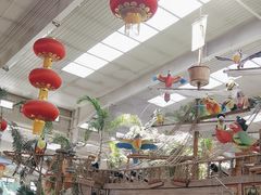 -南宫五洲植物乐园