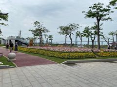 -芒洲湿地公园