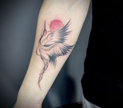 -刺客纹画·纹身·洗纹身.穿孔饰品