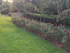 -杭州城北体育公园