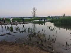 -绿堤公园