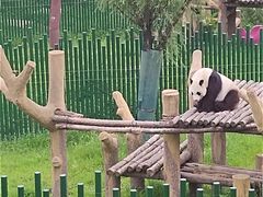 -沈阳森林动物园