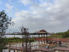 -立新湖公园