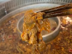 -晓宇重庆火锅(赛格国际购物中心店)