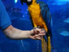 -成都浩海立方海洋公园