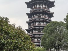 -洋湖国家湿地公园
