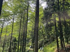 -莫干山风景区