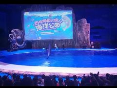 -华夏文旅海洋公园