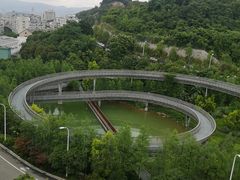 -福道