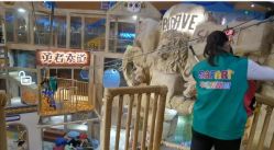 -卡通尼·Safari非洲探索乐园·生日会(金桥国际商业广场店)