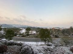 -浙江安吉JW万豪酒店·万豪中餐厅