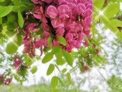 -永定河休闲森林公园