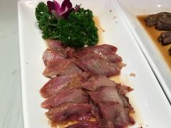 -南枝记