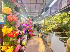 -花鸟鱼虫鲜花绿植市场(玉泉路店)