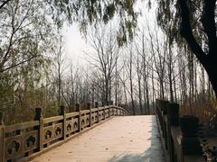 -溱湖国家湿地公园