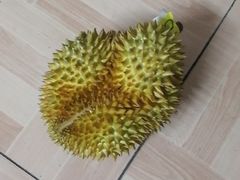 -鲜力达果品批发直销(青山店)