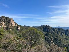 -大岭沟猕猴桃谷风景区