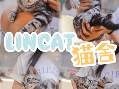 -lincat·猫舍(广州店)