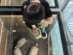 -上海大自然野生昆虫馆(东方明珠·爬宠昆虫探索中心)