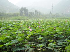 景点-百里山水画廊乌龙峡谷