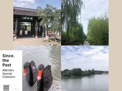 -陈记菜馆·非遗淮扬菜(东关街教场店)