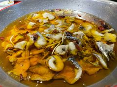 -雲蜀龙阁·金牌水煮鱼(方庄店)