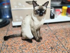 -宠福鑫康馨动物医院·骨科·眼科