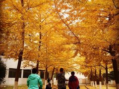 -辽宁大学(崇山校区)