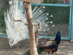 -水上乐园·欢乐世界