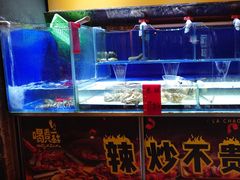 -喝丢一只鞋海鲜烧烤·海肠捞饭(东关街店)