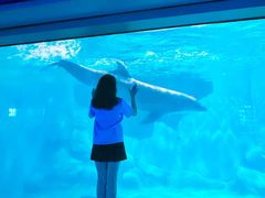 -福州罗源湾海洋世界旅游区