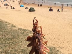 -青岛第二海水浴场