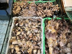 -越百海海鲜蒸锅(乐山店)