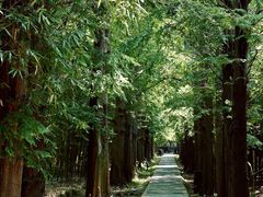-同里国家湿地公园