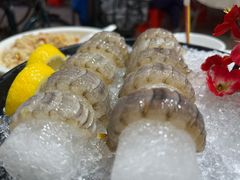 瀨尿蝦刺身-嘉升大排档(番禺总店)