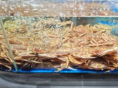 -徐记海鲜·宴会(大唐西市|丰庆店)