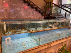 水产区-饭怕鱼(阳光100店)