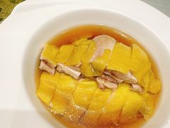 糟鸡-老人和饭店(淮海中路店)