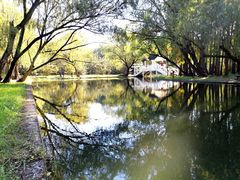 -上海共青森林公园