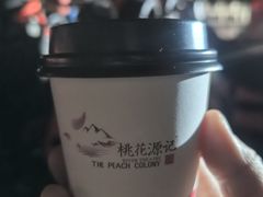 -常德桃花源景区