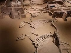 -洛阳周王城天子驾六博物馆