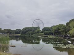 -蠡湖大桥公园