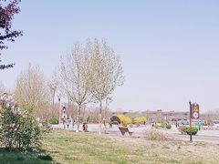 -武清南湖绿博园
