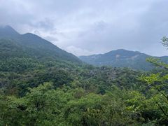 -千岛湖石林