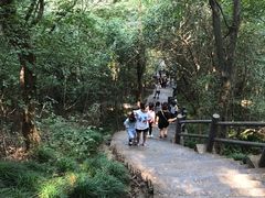 -紫金山索道-售票处