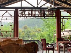 -桃源山庄·水蜜桃采摘·柴火鸡·烧烤团建(龙泉山店)