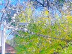 -粤秀小厨·广式早茶(辽宁路店)